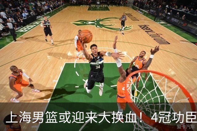 上海男篮或迎来大换血！4冠功臣体面告别？张镇麟将锁定D类合同