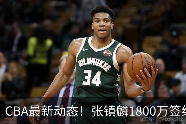 CBA最新动态！张镇麟1800万签约，范子铭离队，加盟劲旅