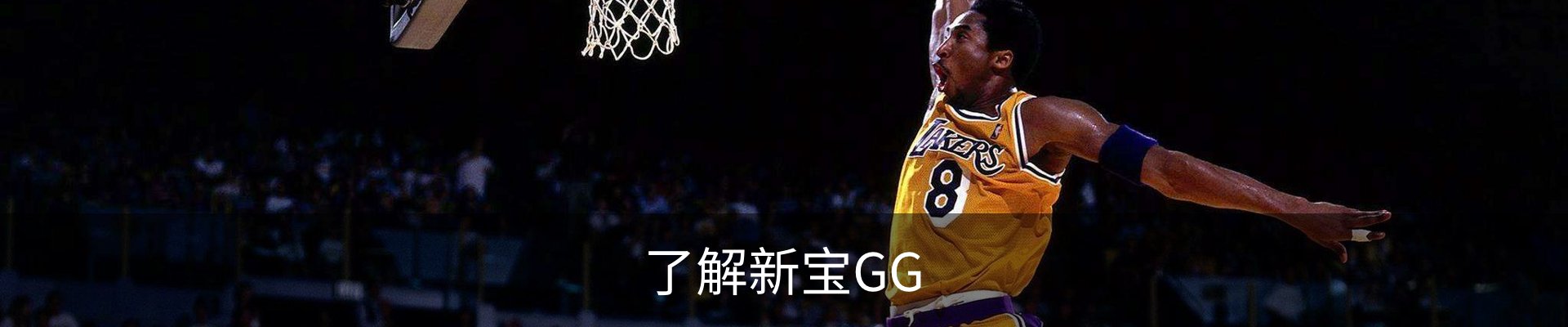 了解新宝GG